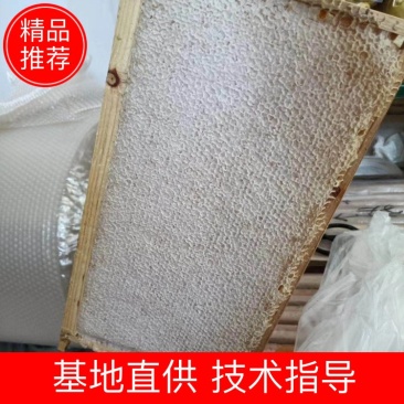 整张新巢蜜《现摇现卖专用》出蜜高质量好量大优惠