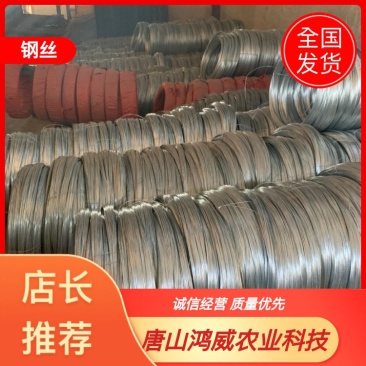 钢丝热镀锌铁丝锌钢绞线厚锌层葡萄钢丝弥猴桃不生锈