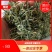 黄山中期毛峰，每天大量供应，每天报价，保证质量，7日无理