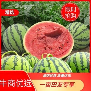 甜王西瓜大量上市啦全国供货欢迎老板咨询选购