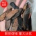 【文斌药业】水蛭宽体。清水吊干水蛭两种规格