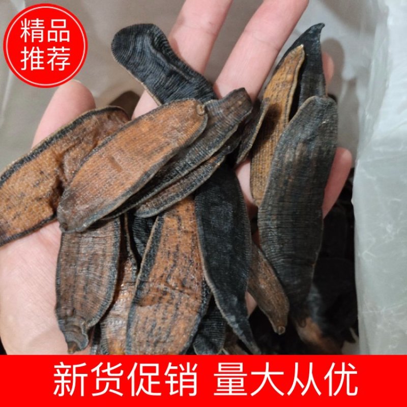 【文斌药业】水蛭宽体。清水吊干水蛭两种规格