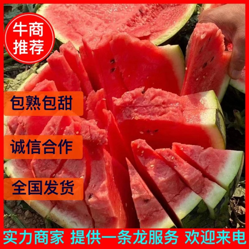 【实力商家】新疆西瓜代办，昌吉西瓜，产地一手货源