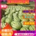 【新疆瓜】精品金城5号吐鲁番西瓜，个头大口感甜货源充足。