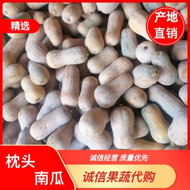 陕西南瓜精品城固南瓜枕头南瓜甜软糯一手货源货源充足产地直销