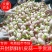 精品大蒜，扒皮蒜，苗蒜，大吨位供应，负责找车代发团队