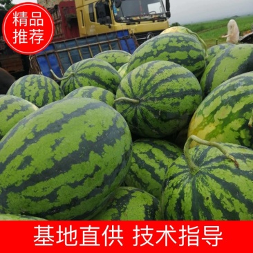 甜皇西瓜，产地直供，价格实惠，欢迎客商电话咨询