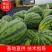 甜皇西瓜，产地直供，价格实惠，欢迎客商电话咨询
