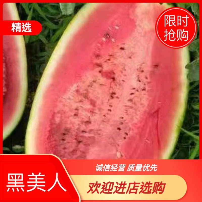 黑美人西瓜，一手货源，产地直供，质量保证欢迎下单订购