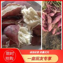 吴川市一兆农业有限公司“美沃一兆牌”龙薯