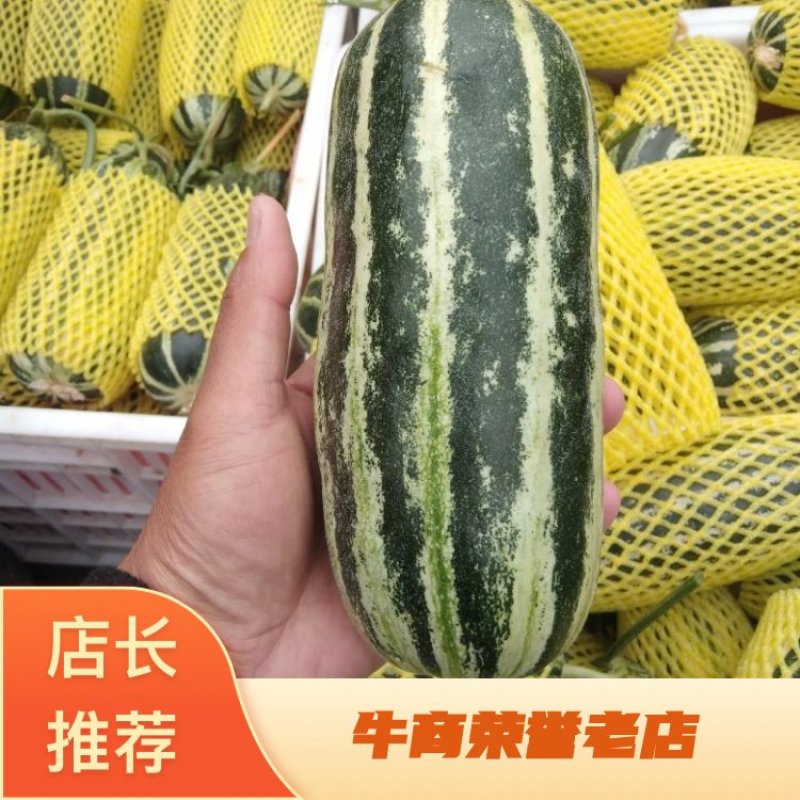 博洋9甜瓜/白皮甜瓜/绿宝/脆皮甜瓜/香瓜/产地现货！