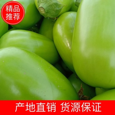 大棚无籽青茄子，大量上市质量好价格低品质好。