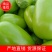 大棚无籽青茄子，大量上市质量好价格低品质好。