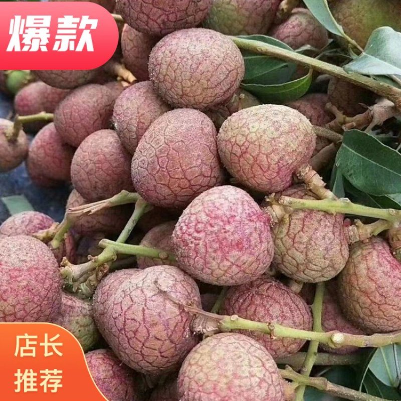 广东荔枝，现货，一手货源，货源充足，发全国