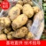【精品】湖北天门黄皮黄心土豆产地直供大量上市品质保证