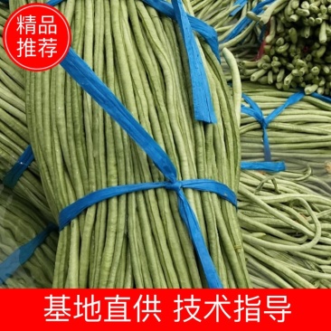 白条豆角大量市场货腌制货可以做酸豆角卜豆角