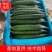 【油亮黄瓜】大量上市,质量保证,产地直发一手货源诚心经营