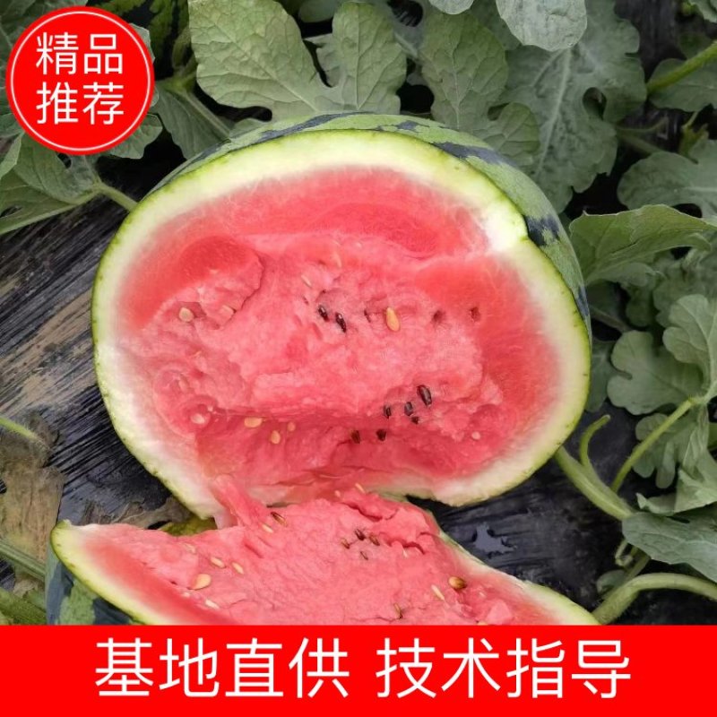 甜王西瓜电商优选精品商超规格小销量大需要联系