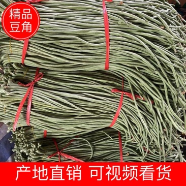 豆角精品长豆角产地现摘现发可视频看货量大从优