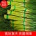 通许红帽蒜苔大量上市质量保证一手货源基地直发视频看货