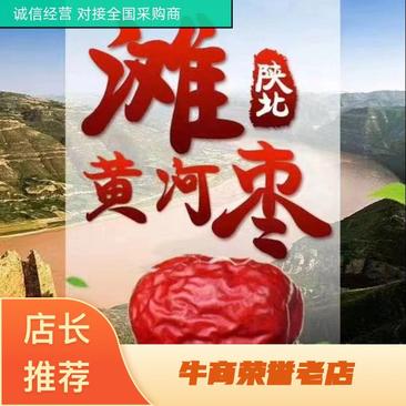 陕北狗头枣产地供应一件代发欢迎全国老板