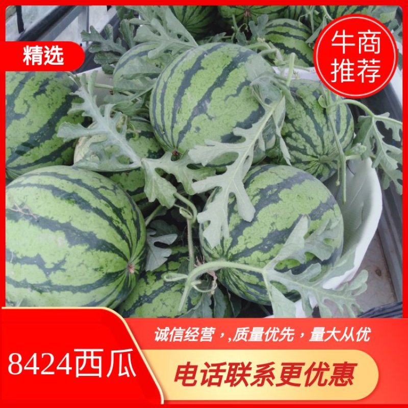 美都！西瓜产地直供，新鲜采摘口感特别好甜度高皮薄