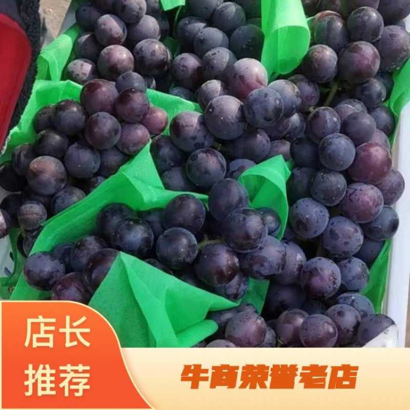 巨峰葡萄上市中价格便宜口感好全国发货质量保证