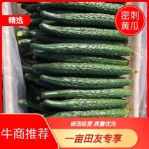 精品密刺黑油亮条形好绿皮绿瓤产地直销货源充足