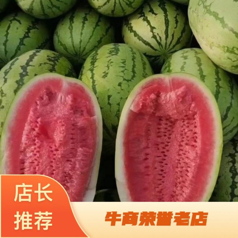 甜王西瓜基地直发产区直供量大从优欢迎咨询