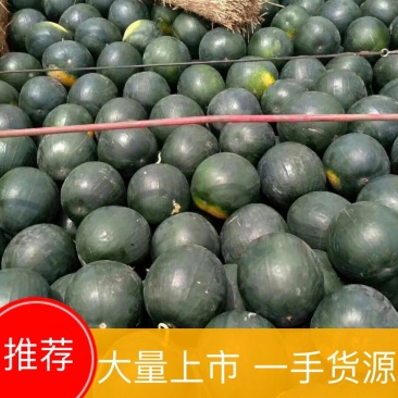 【荐】陕西黑无籽西瓜，戴妃黑无籽西瓜，小神童黑无籽西瓜