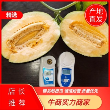 精品内蒙黄皮哈密瓜产地直发欢迎客户前来采购品种多