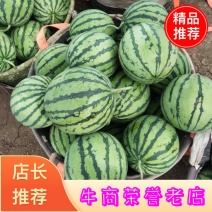 【推荐】8424西瓜江苏8424西瓜大量上市对接市场商超