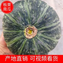 【南瓜】甘肃板栗南瓜一手货源长期供应市场电商商场