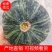 【南瓜】甘肃板栗南瓜一手货源长期供应市场电商商场