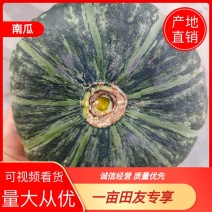 【好货】正宗板栗南瓜一手货源量大从优全国发货