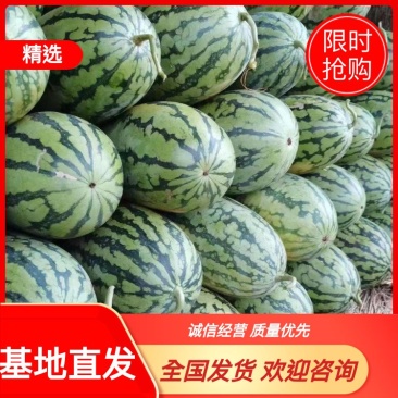河南精品绿爽西瓜产地直发大量供应可视频看货