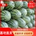 河南精品绿爽西瓜产地直发大量供应可视频看货