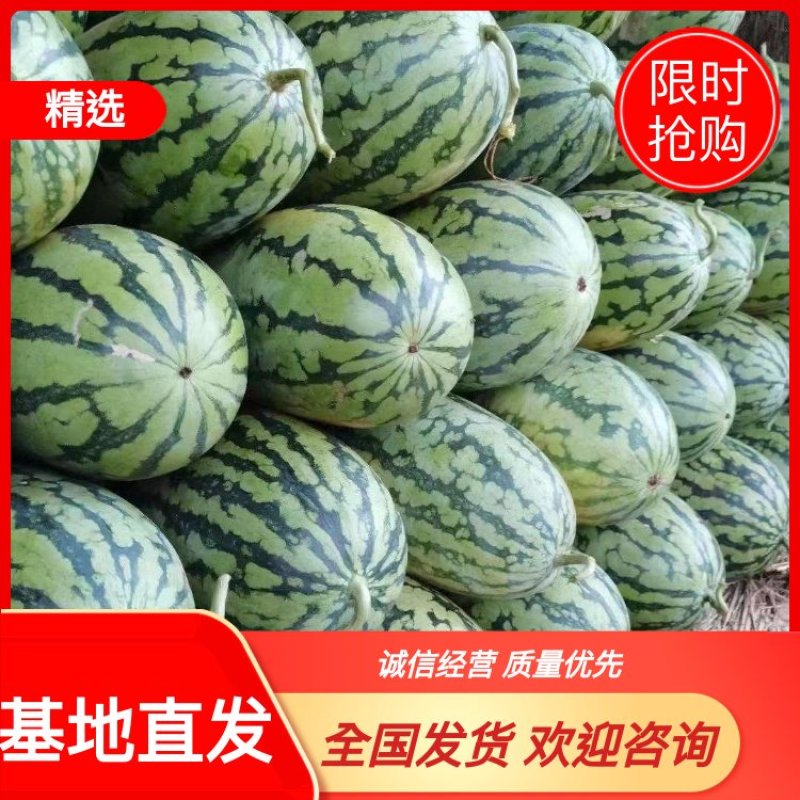 河南精品绿爽西瓜产地直发大量供应可视频看货