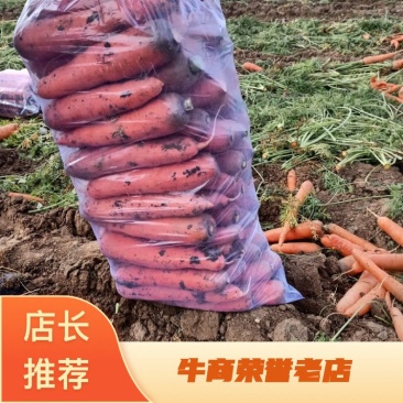 【牛商优选】红萝卜，大量上市中，诚信商家，质量保证