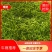 黄花菜3月初大量上市，欢迎预定新鲜黄花菜货好农家自产自销