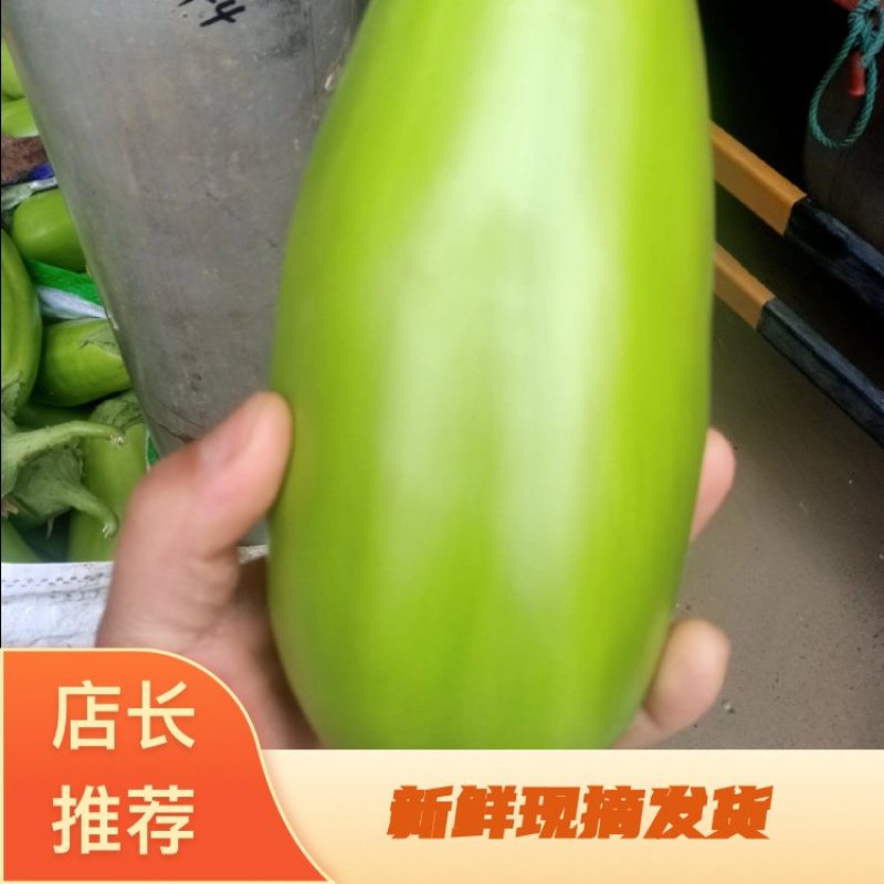 青茄子，产地直销，色泽鲜艳，表皮光亮，好吃不贵经济实惠