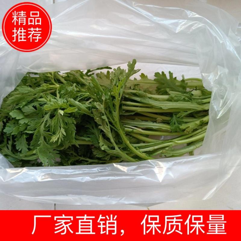 茼蒿菜抗菌保鲜袋，减少损失锁住营养，食品级原材料安全