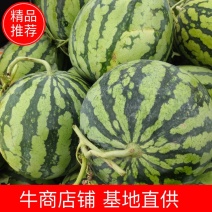 美都西瓜大量上市中，