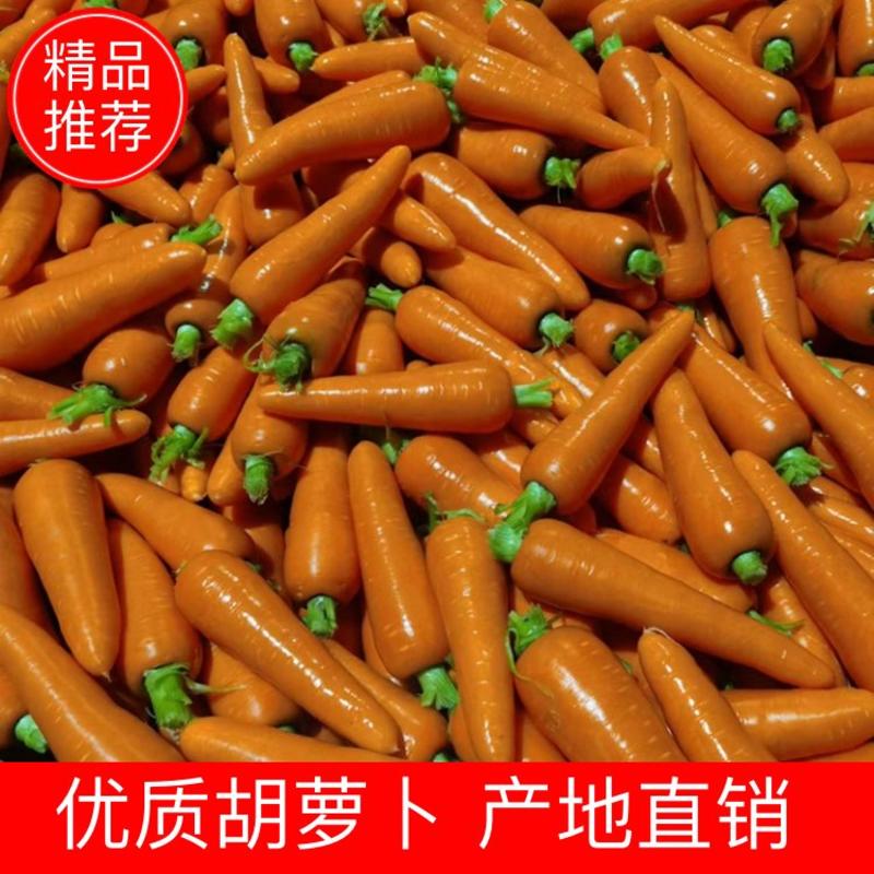 【胡萝卜】优质三红胡萝卜产地直销量大从优坏单包赔