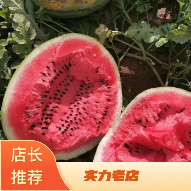 西瓜。有各种各样的品种。8斤打底。电商美团直供。
