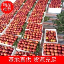 安徽砀山中油4号，48油桃大量上市，价格实惠，货源充足