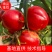 湖北产地直发现摘现发，精品油桃金雷曙光中油毛桃
