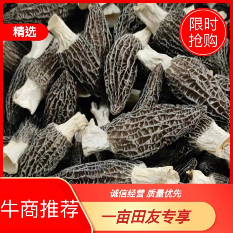 2022年羊肚菌干货新品，货源充足，产地直发，一手货源