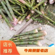 「好货」竹笋野山笋水竹笋支持一件代发量大从优