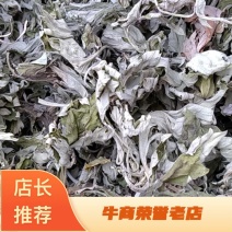 【热销】大叶艾野生艾叶大别山野生艾叶无杆无黄叶纯手工采摘